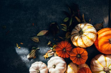 Güçlü gölgeleri olan balkabakları