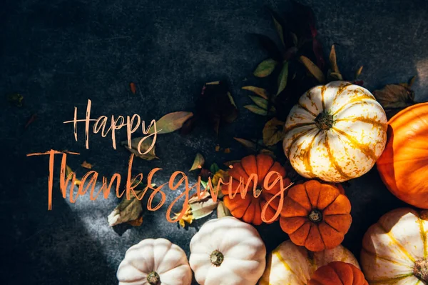 Happy Thanksgiving Holiday Postkarte — Stockfoto