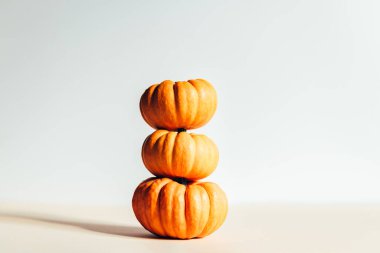 Minik turuncu balkabakları. Sonbahar konsepti