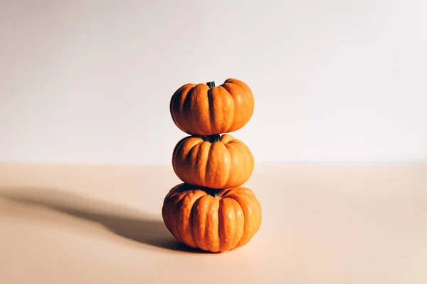 작은 오렌지색 호박이야. 가을 개념 — 스톡 사진
