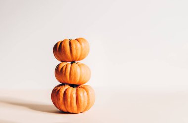 Minik turuncu balkabakları. Sonbahar konsepti