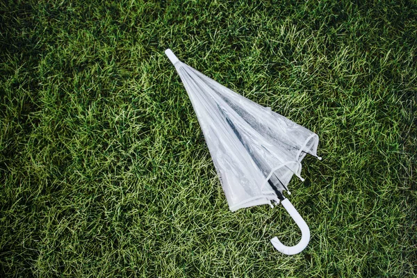Yağmurlu bir günde yeşil çimenlerin üzerinde yağmur damlaları olan şeffaf şemsiye..