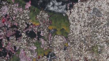 Duvar beton doku renkli arka plan