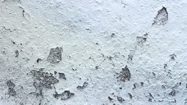Ściany Betonowe Tekstura Tło Kolorowe — Wideo stockowe