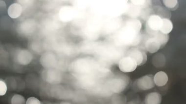 Bulanık suda yansıyan güneş ışığı