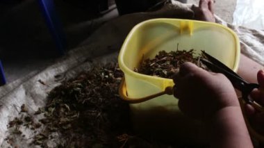 işçi plastik kovalar kuru ot kesme