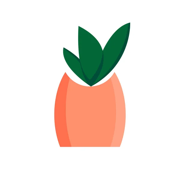 Стильное Зеленое Комнатное Растение Большими Листьями Розовом Горшке Белом Фоне — стоковый вектор