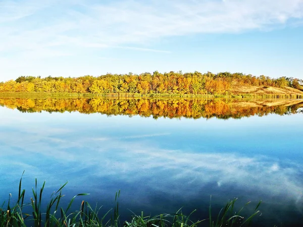 Sonbahar manzarası, nehir kenarındaki orman..