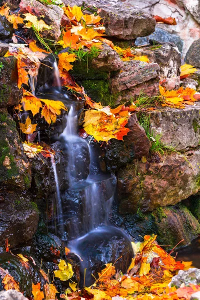 滝と秋を葉します — ストック写真