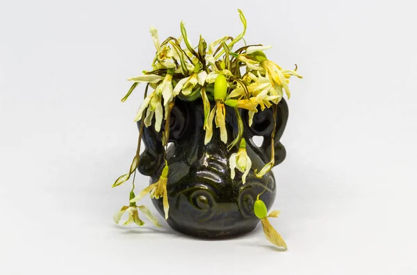 Vazoda kurumuş çiçekler.