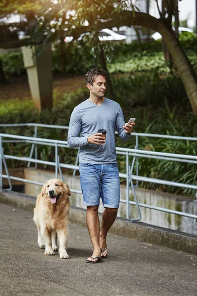 Dude walking the dog and checking phone