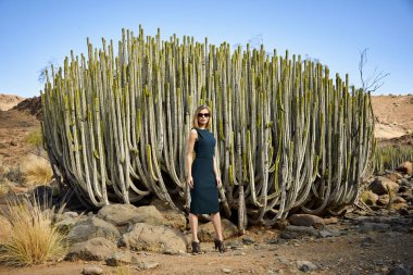 Kaktüs bitkilerin önünde yeşil çarpıcı kız, portre
