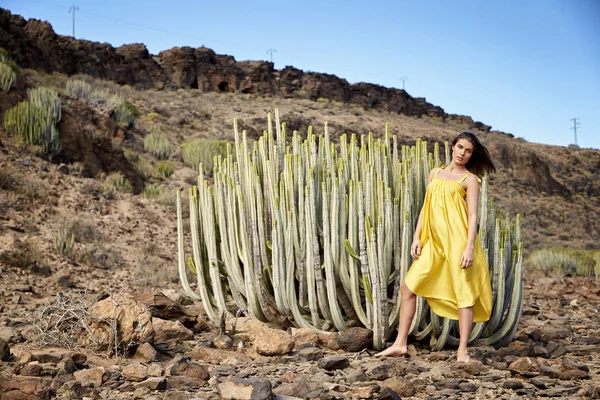 Kaktüs, portre tarafından altın elbise güzel model