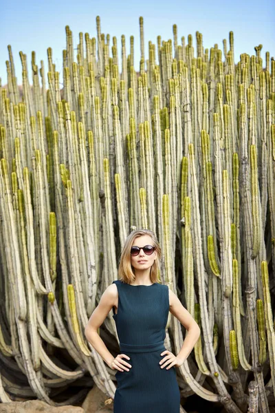 Kaktüs, portre tarafından güneş gözlüğü güzel emin kadın