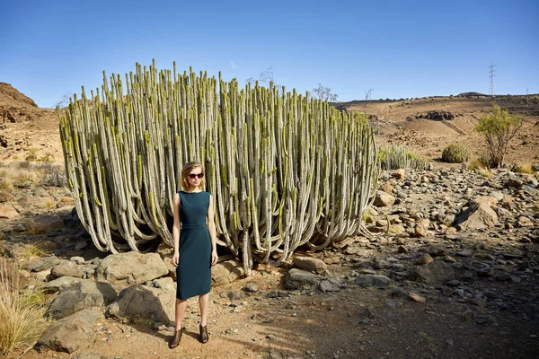 Kaktüs tarafından çölde çarpıcı genç sarışın kadın