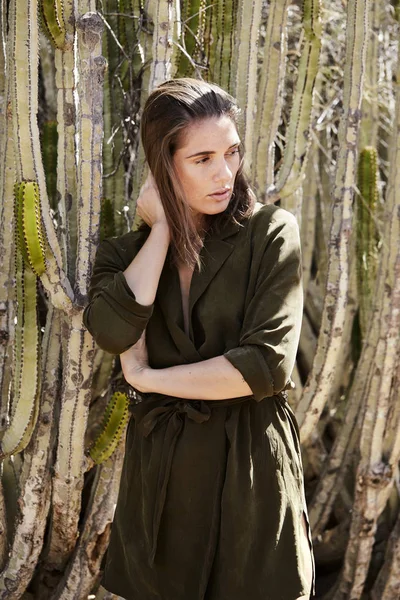 Çöl içinde kaktüs tarafından esmer, uzağa bakıyor