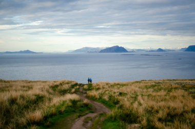 Bu bir kuş ve adı da kardeş.