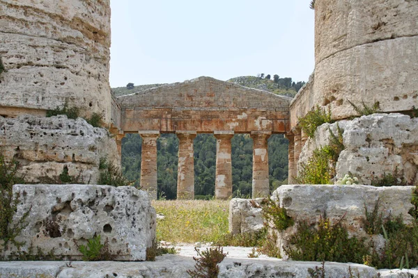 233 _ Templo de Segesta —  Fotos de Stock