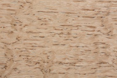 Doğal huş ağacı kaplama doku ışık iç için. Yüksek çözünürlüklü fotoğraf.