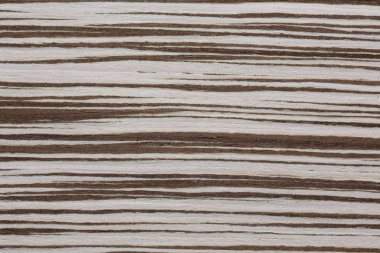 Üstün yüzey ile olağanüstü yeni zebrano kaplama doku. Yüksek çözünürlüklü fotoğraf.