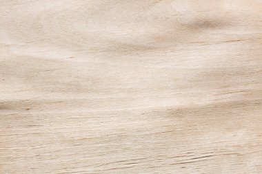 Harika Kızılağaç doku ışık renkli kaplama. Yüksek çözünürlüklü fotoğraf.