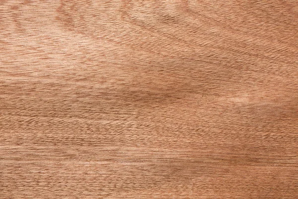 Beige Sapele Veneer Texture Your Stylish Project High Resolution Photo — Stock Photo, Image