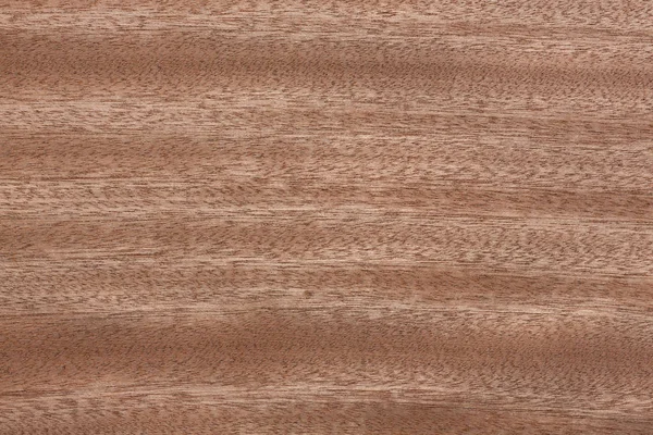 Nouvelle Texture Placage Sapele Dans Couleur Idéale Photo Haute Résolution — Photo