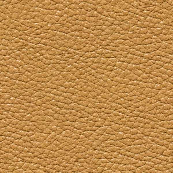 Neuen Lederhintergrund Ihrer Bezaubernden Farbe Nahtlose Quadratische Textur Fliesenfertig — Stockfoto