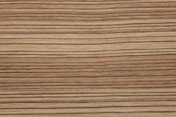 Belirli zebrano kaplama doku alışılmadık çizgili yüzeye sahip. Yüksek çözünürlüklü fotoğraf.