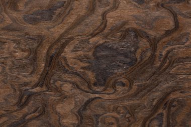 Özel iç için olağanüstü ceviz kaplama dokusu. Yüksek çözünürlüklü fotoğraf.