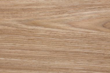 Yeni meşe venner doku etkili bireysel tasarımınız için. Yüksek çözünürlüklü fotoğraf.