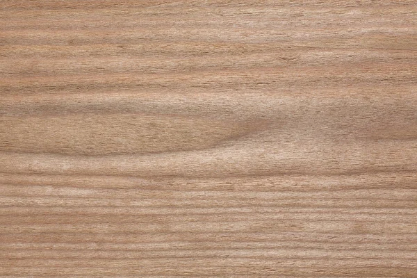 Υπέροχο φυσικό ξύλινο καπλαμά φόντο για το έργο σας. — Φωτογραφία Αρχείου