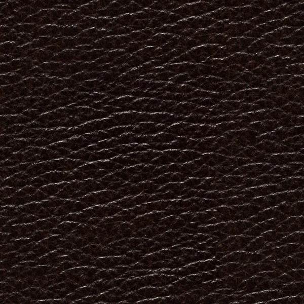 Fondo Cuero Lacado Excelente Color Negro Textura Cuadrada Sin Costuras — Foto de Stock