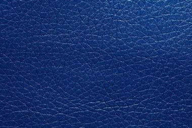 Kontrast mavi deri doku stiliniz için. Yüksek çözünürlüklü fotoğraf.
