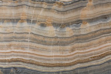 Muhteşem yeni iç görünüşün için zarif bir doku. Yüksek çözünürlüklü fotoğraf.