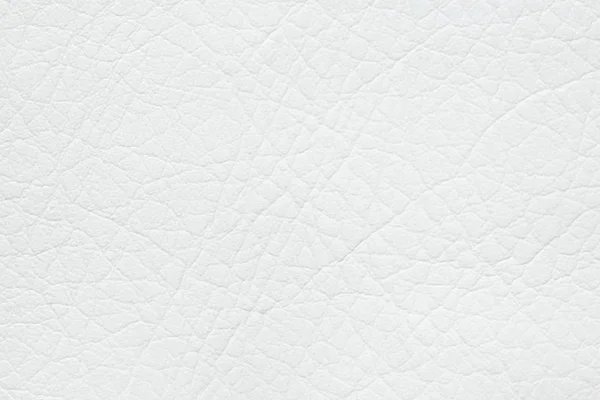Snowy White Leatherette Background High Resolution Photo — Stock Photo, Image