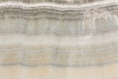 Harika tasarım için beyaz tonda çekici yeni bir doku. Yüksek çözünürlüklü fotoğraf.