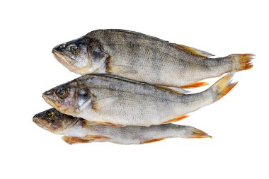 Makro üzerinde kurutulmuş balık. Levrek. Lezzetli bira atıştırmalık.