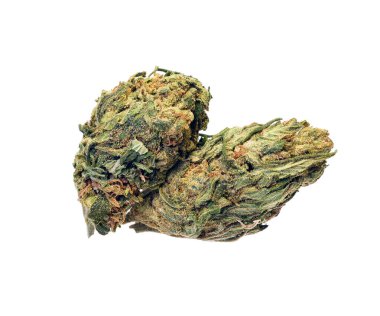 Beyaz arka planda izole edilmiş tıbbi marihuana. Tedavi edici ve tıbbi esrar.
