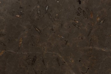 Tasarımınız için koyu kahverengi mermer desen arkaplanı.