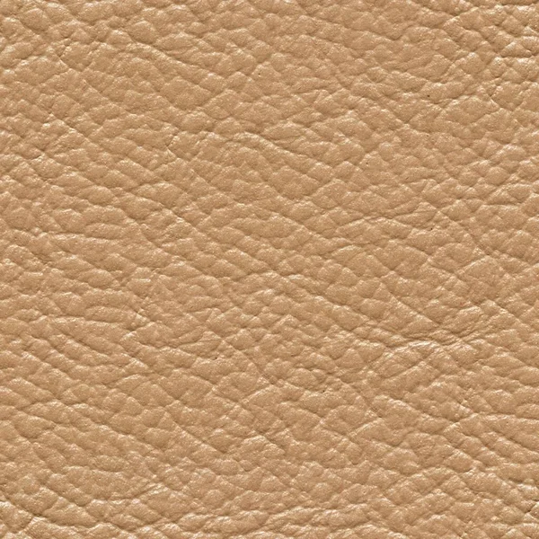 Elegant lackered leather background in light hue. — Stock Photo, Image