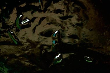 Koyu yeşil kivi reçelinin yakın çekim parçası..