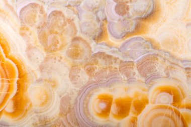 Tasarımınızın bir parçası olarak açık bej tonda güzel bir arkaplan.