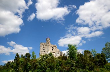 Polonya 'da Kale Mirow