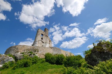 Polonya 'da Kale Mirow