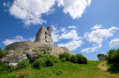 Polonya 'da Kale Mirow