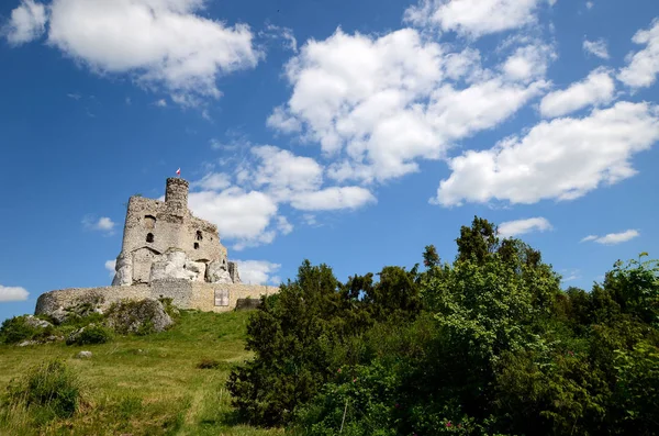 Polonya 'da Kale Mirow