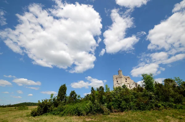 Hrad Mirow Polsku — Stock fotografie