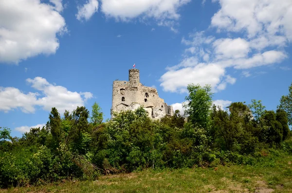 Castelo Mirow Polónia — Fotografia de Stock
