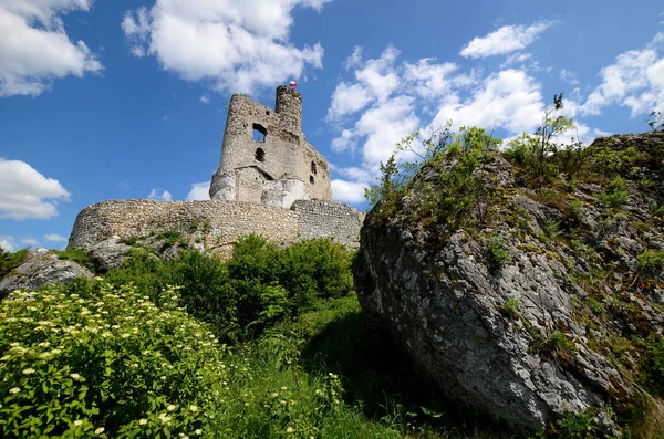 Polonya 'da Kale Mirow